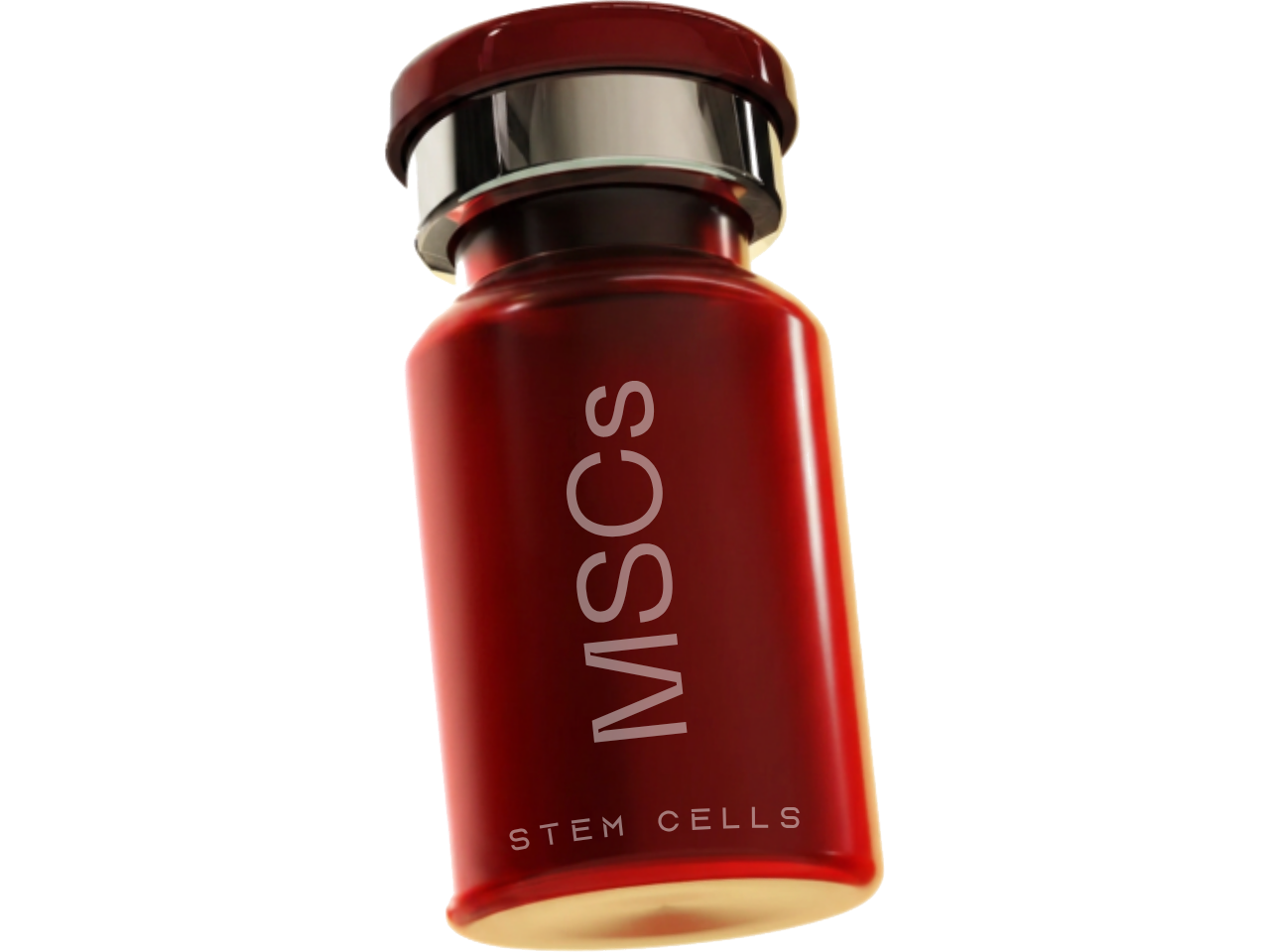 Stem Cells