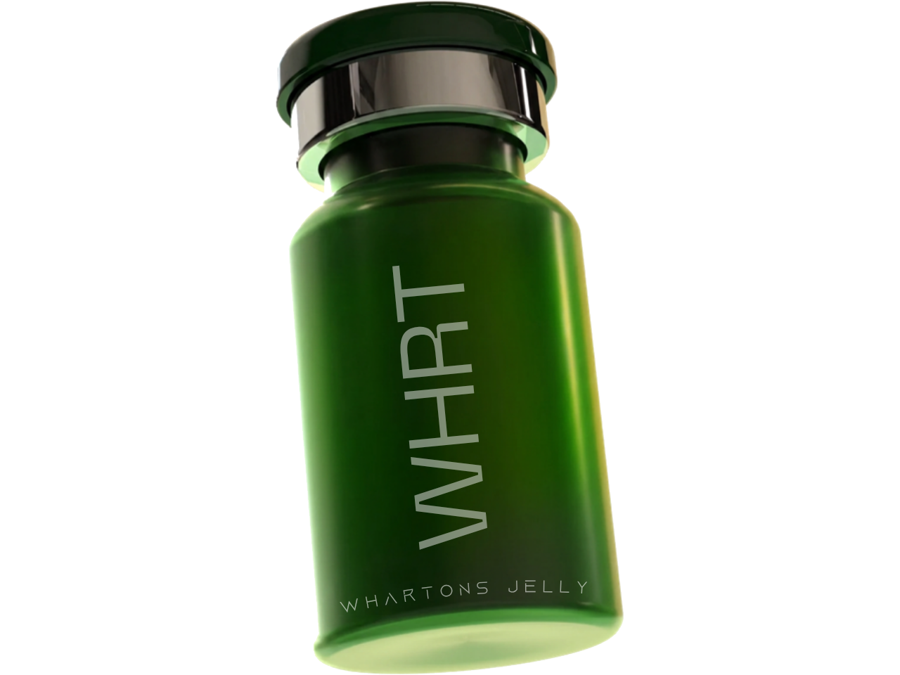 Wharton's Jelly