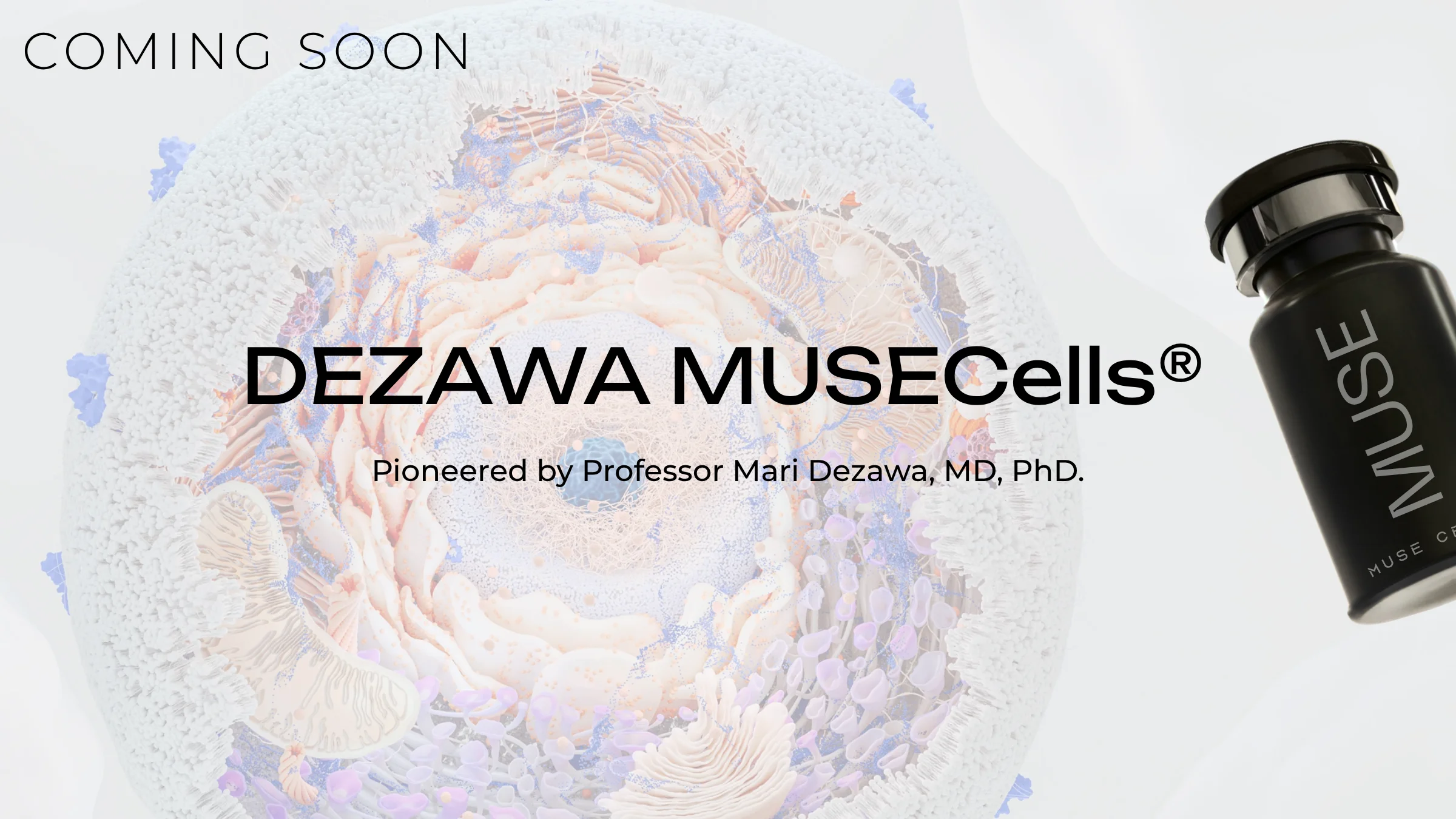 DEZAWA MUSECells®